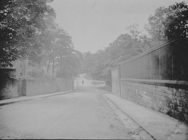 Grey-scale image of a road in Carleton, North Yorkshire, with a fence and trees.