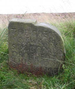 Carleton Bombs Memorial Stone