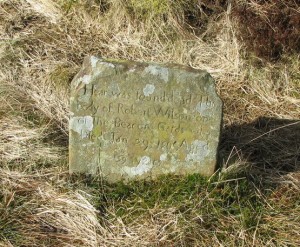 Robert Wilson Headstone