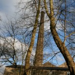 IMG_1246
