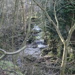 IMG_1302