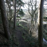 IMG_1315