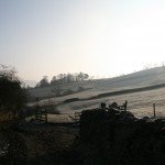 IMG_1462