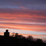 IMG_4655
